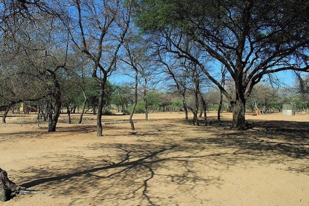 Harnas Wildlife Foundation Gobabis 外观 照片